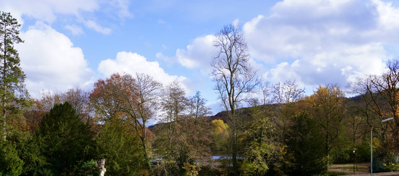 Blick aus den Räumlichkeiten auf den Langweiher