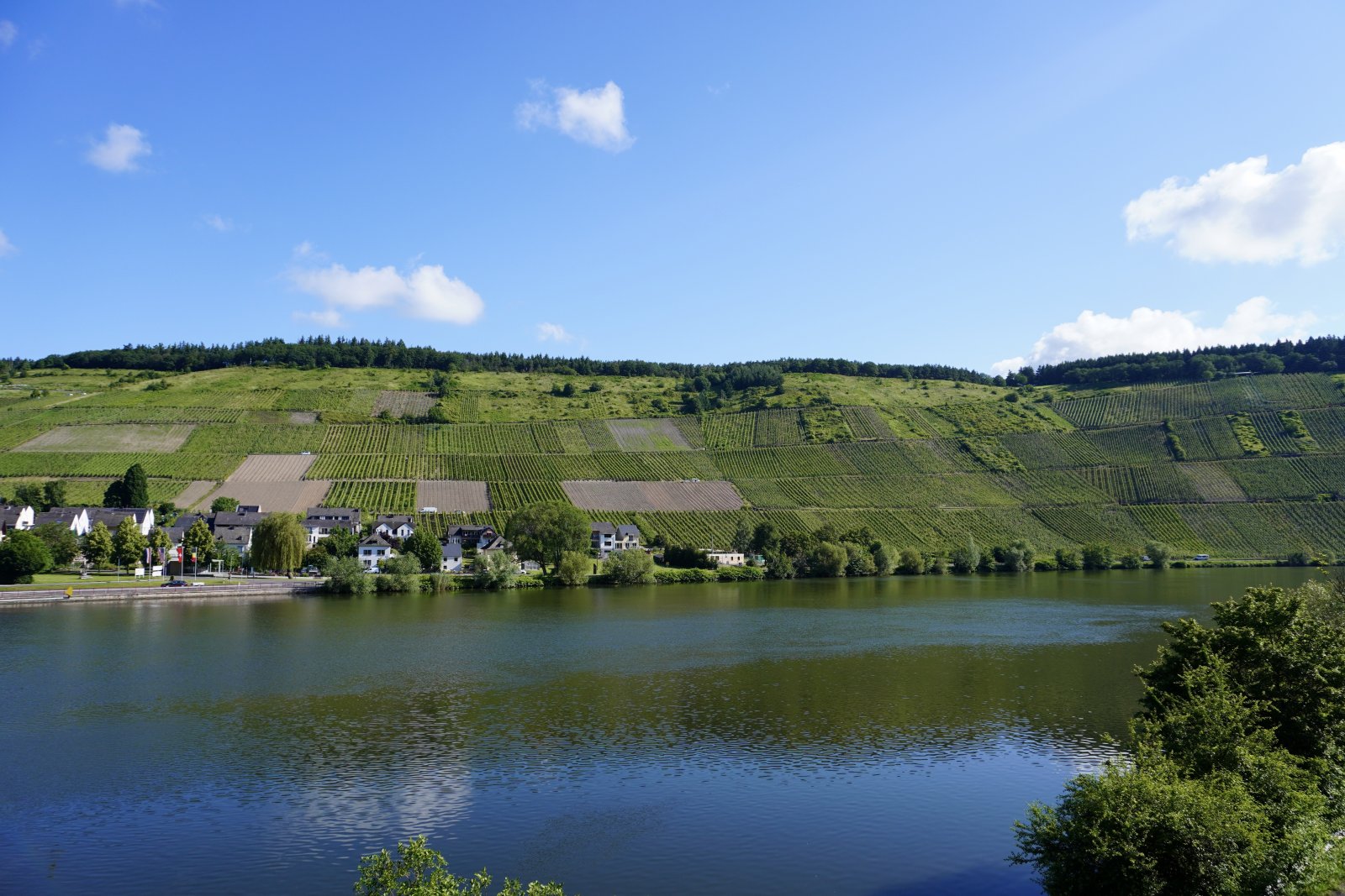 Mosel Impressionen 2